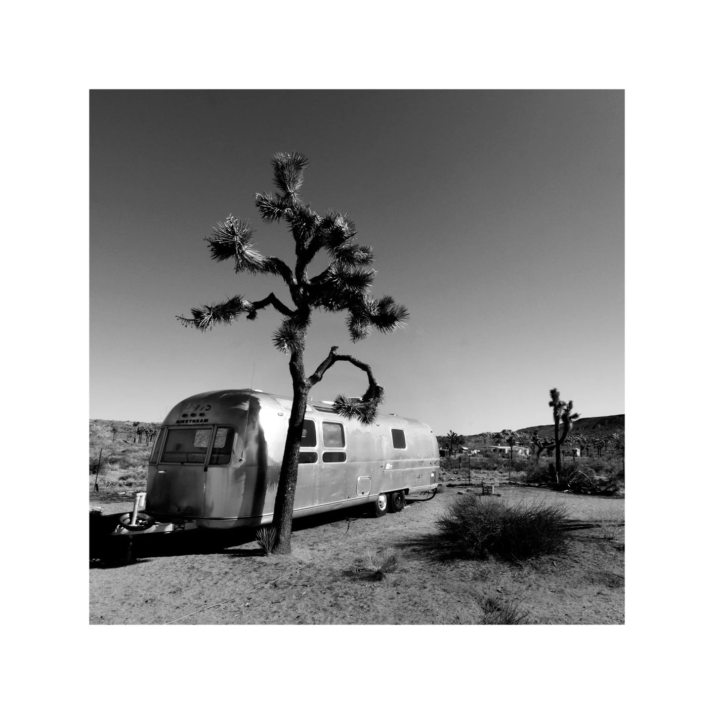 Joshua Tree Desert Air Stream - Square Print Series - Blackstring Gallery