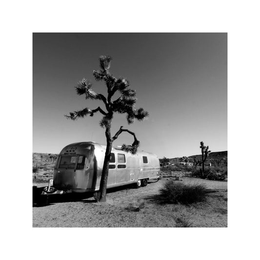 Joshua Tree Desert Air Stream - Square Print Series - Blackstring Gallery
